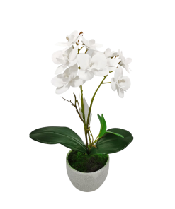 ORQUIDEA 30 AN30OR VELVET DECO