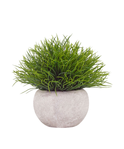 PLANTA CON MACETA 15X13 GOL1513PM VELVET DECO