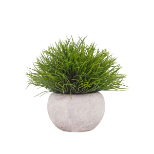 PLANTA CON MACETA 15X13 GOL1513PM VELVET DECO