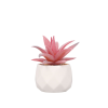 PLANTA CON MACETA 8X10 SU2C810PM VELVET DECO