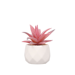 PLANTA CON MACETA 8X10 SU2C810PM VELVET DECO