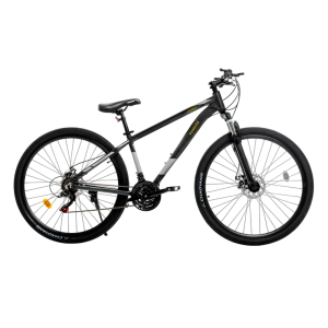BICI R29 MTB KAWILL BKE-29-M RANDERS
