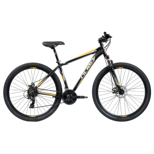 BICI R29 MTB FLASH 290 T18 OLMO