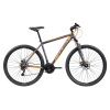 BICI R29 MTB WISH 290 T18 OLMO