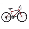 BICI R24 MTB KUWARA NEW B83820 WAL HER