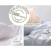 SABANA 8914 PALETTE IVORY GLASS KING SCOLARI