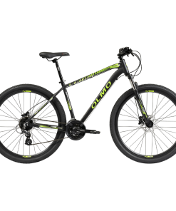 BICI R29 MTB SAFARI 290 T20 OLMO