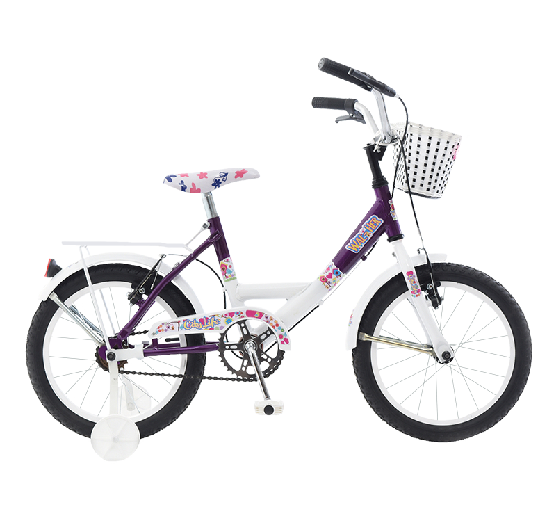 204397_67464-20BICI20R1620CITY20LIFE20DAMA20B816620WAL20HER20.png