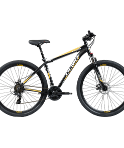 BICI R29 MTB FLASH 290 T18 OLMO