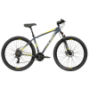 BICI R29 MTB FLASH 290 T20 OLMO