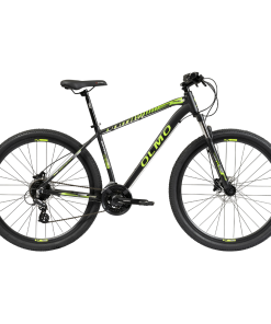 BICI R29 MTB SAFARI 290 T20 OLMO