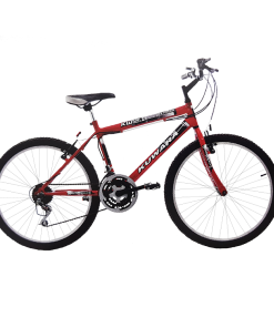 BICI R24 MTB KUWARA NEW B83820 WAL HER