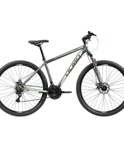 BICI R29 MTB WISH 290 T20 OLMO
