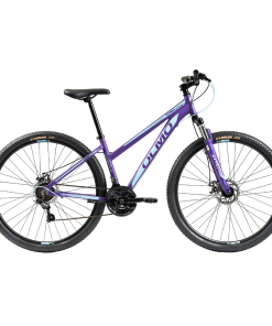 BICI R29 MTB WISH 295 T16 OLMO