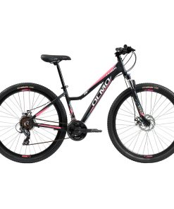 BICI R29 MTB FLASH 295 T16 OLMO