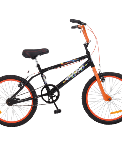 BICI R20 FREESTYLE PINTADA B8336 WAL HER