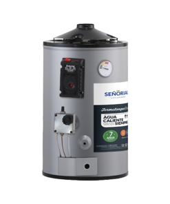 TERMOTANQUE 30LTS DUAL ALTA RECUPERACION GRIS SEÑORIAL