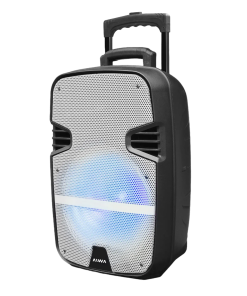 PARLANTE PORTATIL BLUETOOTH P1200D-SN AIWA