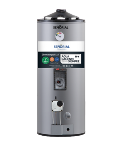 TERMOTANQUE 50LTS DUAL ALTA RECUPERACION GRIS SEÑORIAL