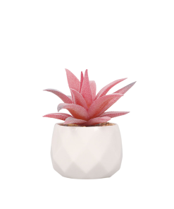 PLANTA CON MACETA 8X10 SU2C810PM VELVET DECO