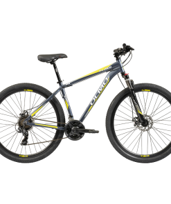 BICI R29 MTB FLASH 290 T20 OLMO